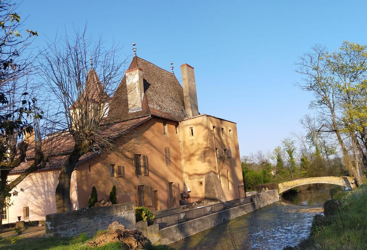 Château de la Venerie Denicé Extérieur photo